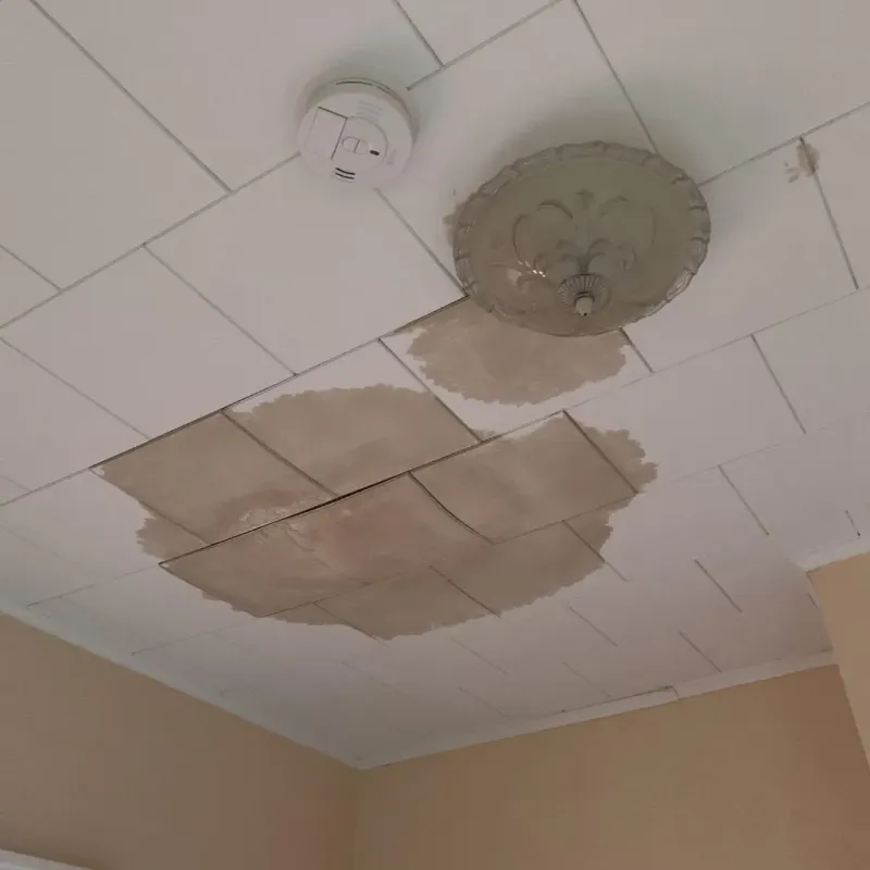 Ceiling Water Damage Repair in Calais, ME