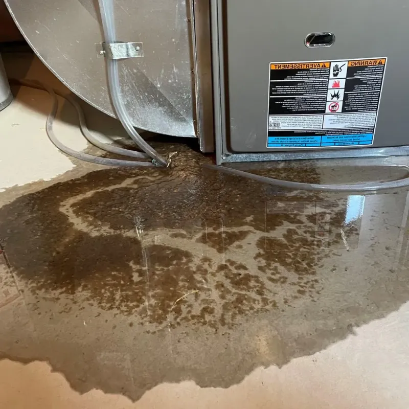 Pipe Burst and Leak Restoration in Calais, ME